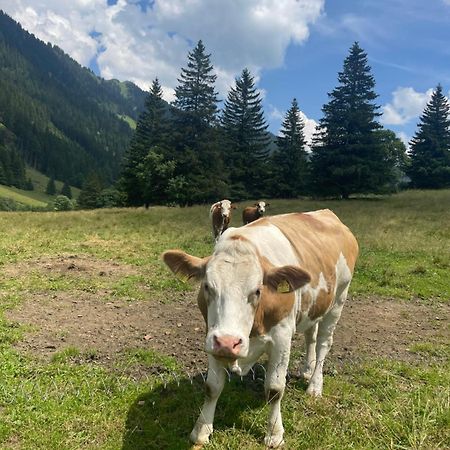 Ferienwohnungen Bianca Hasler - Stallbauer Pusterwald Dış mekan fotoğraf