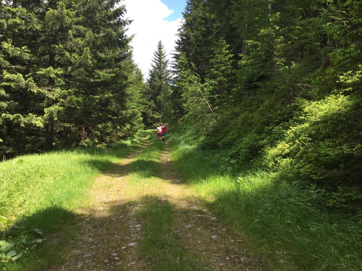 Ferienwohnungen Bianca Hasler - Stallbauer Pusterwald Dış mekan fotoğraf