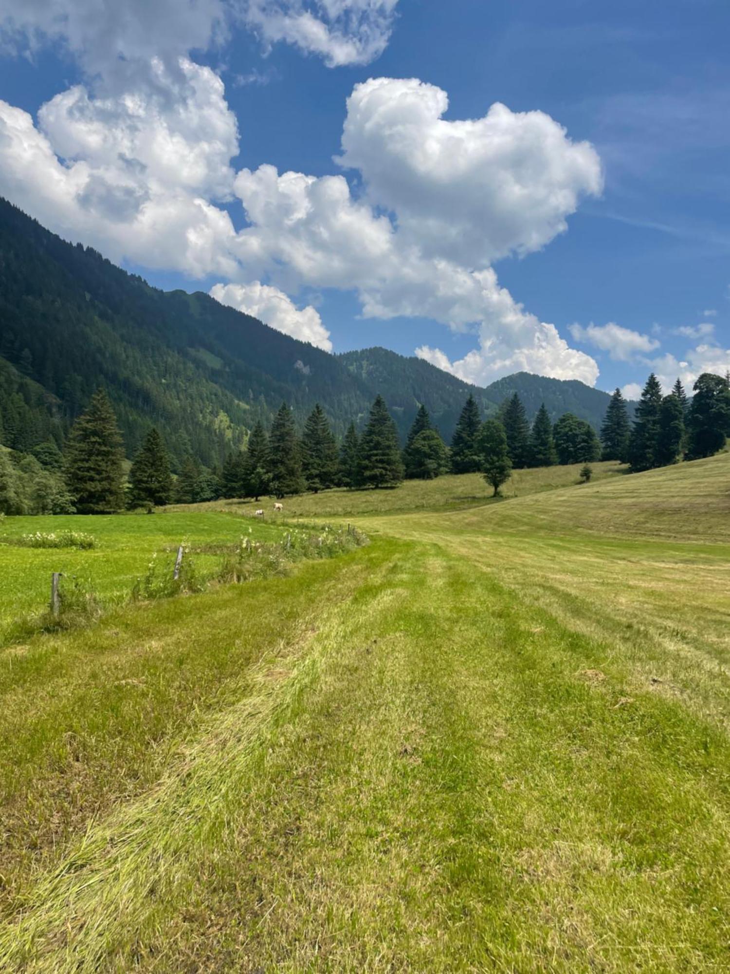 Ferienwohnungen Bianca Hasler - Stallbauer Pusterwald Dış mekan fotoğraf